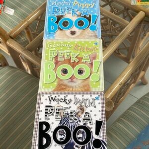 Set of 3 animal peek a boo baby books by author
